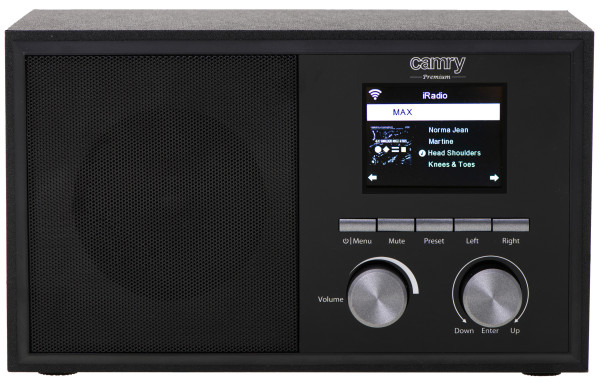 Internet Radio Camry CR1180