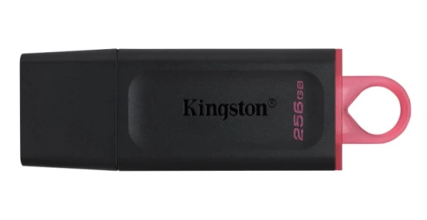 KINGSTON 256GB DTX/256GB USB Flash memorija 3.2 Black